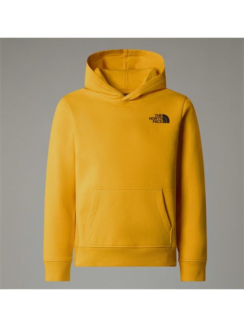 teen redbox regular p/o THE NORTH FACE | NF0A89H956P156P